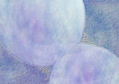 博昌美博會帶你了解化妝品的“進化史”4